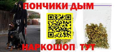 дурь Сланцы