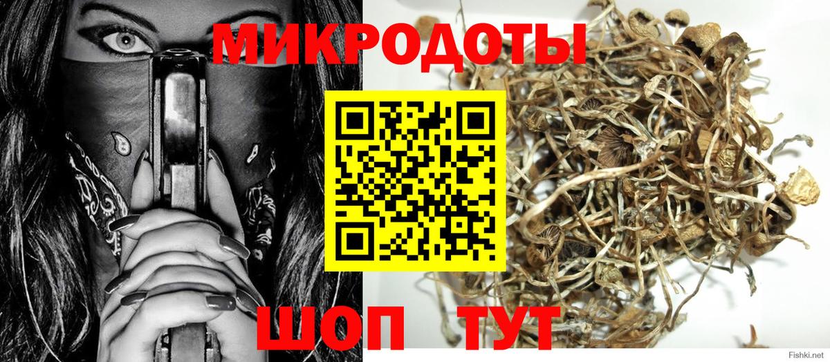 Новочебоксарск  Галлюциногенные грибы прущие грибы  Вход с VPN  Псилоцибиновые грибы Cubensis 