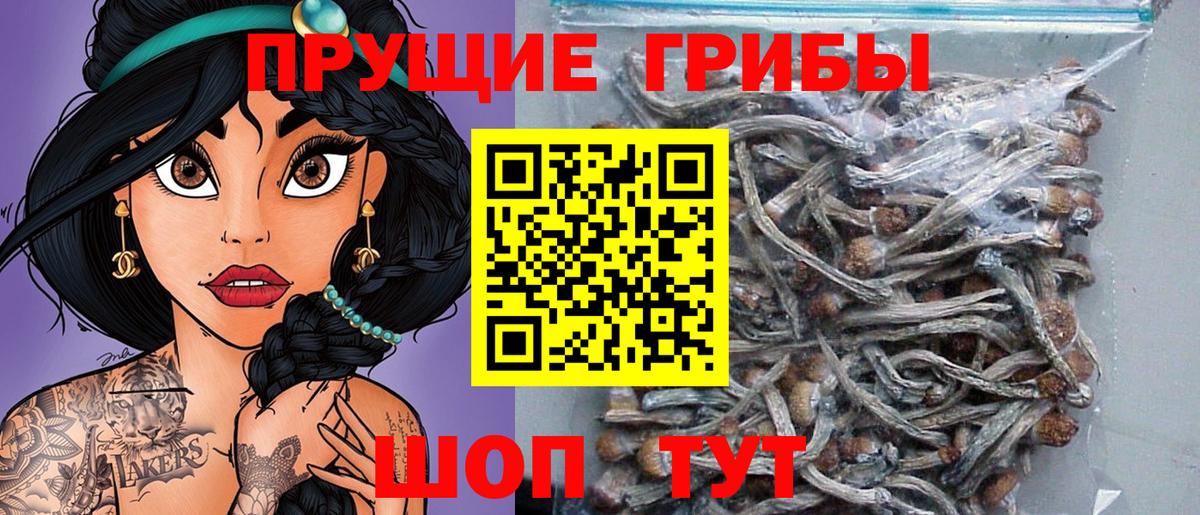 Псилоцибиновые грибы прущие грибы Новочебоксарск