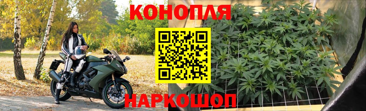 МАРИХУАНА ГИДРОПОН Новочебоксарск